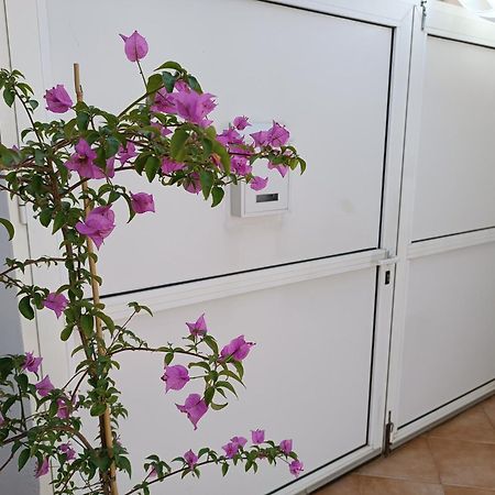 Apartman Dani 자다르 외부 사진